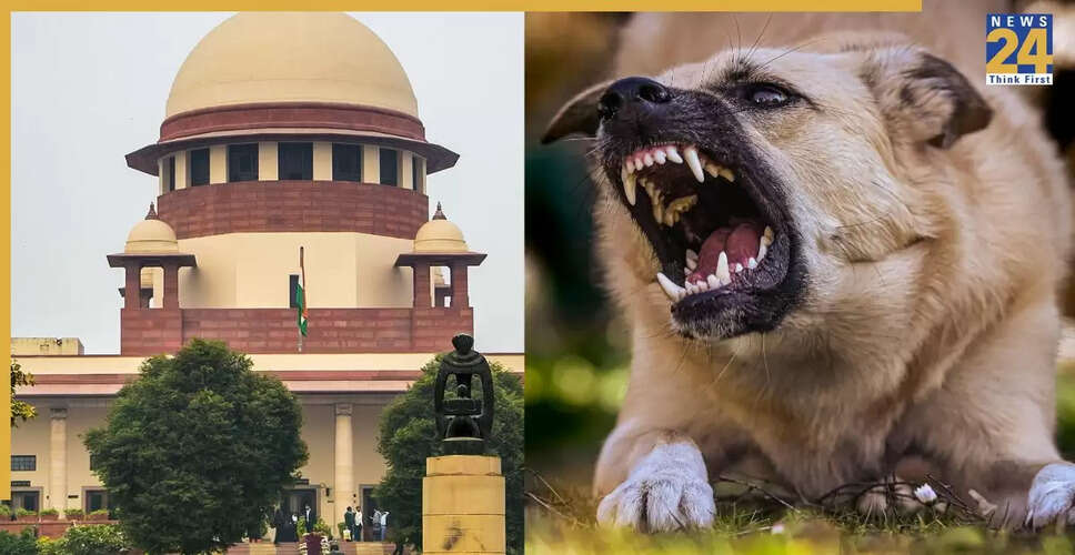सुप्रीम कोर्ट का बड़ा फैसला: बिना टीकाकरण के छोड़े जाएंगे गैर-आक्रामक कुत्ते