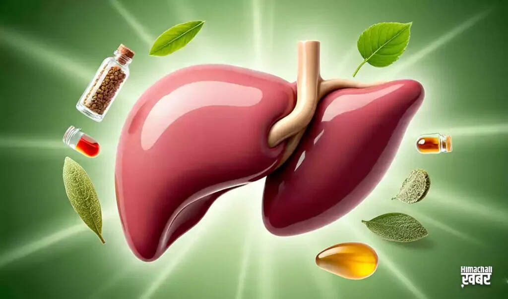 लिवर की समस्याओं के लिए प्रभावी आयुर्वेदिक उपाय