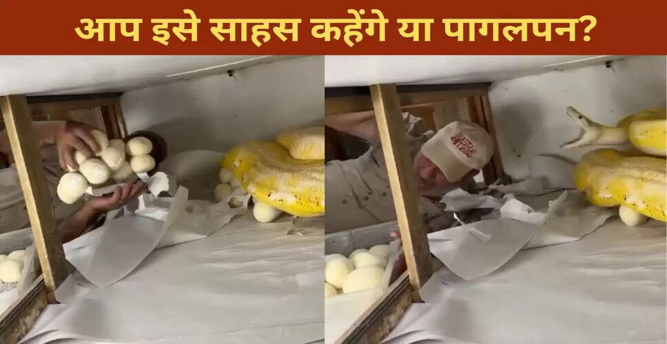 अजगर के अंडों के साथ खतरनाक खेल: एक व्यक्ति का साहसिक कदम