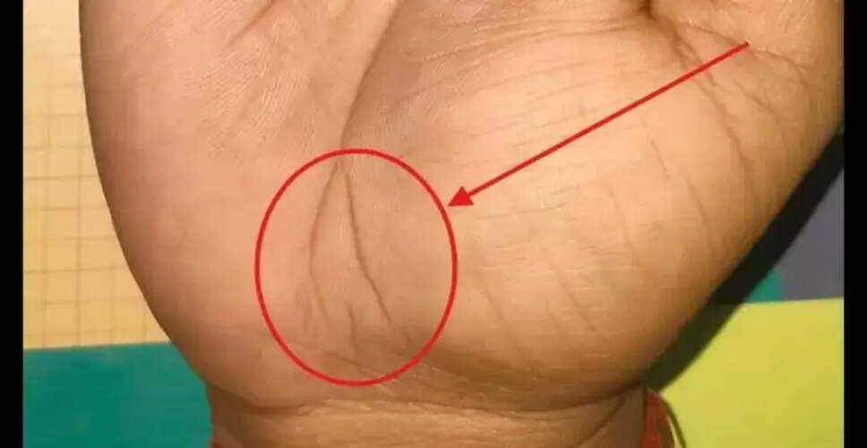 हाथ की रेखाओं में छिपे भाग्य के संकेत: जानें क्या कहते हैं चिन्ह