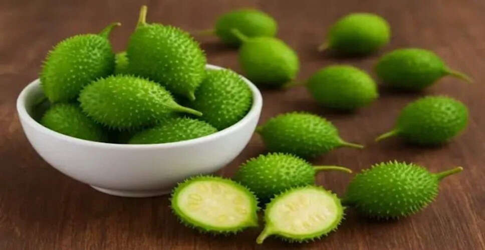 कंटोला: एक सुपरफूड जो नॉनवेज से भी ज्यादा ताकतवर