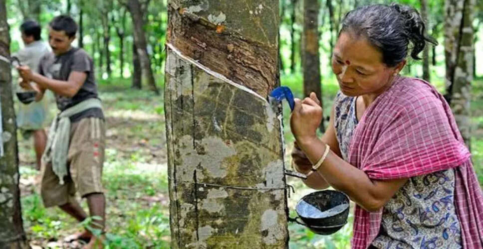 त्रिपुरा में रबर आधारित उद्योगों की स्थापना में चुनौतियाँ