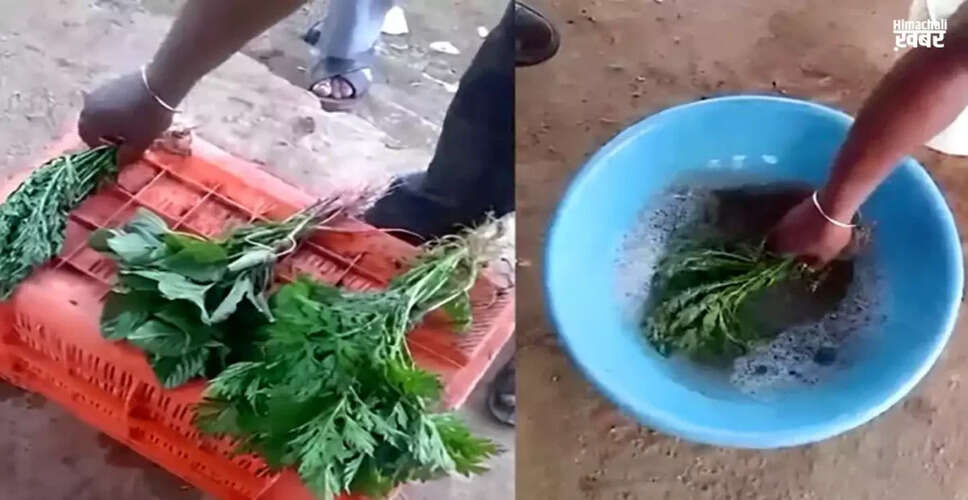 खतरनाक केमिकल से ताजा की जा रही सब्जियां: जानें सच