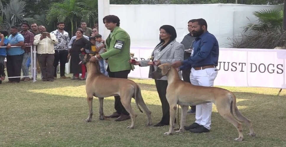 केरल में आवारा कुत्तों की समस्या के समाधान के लिए टीकाकरण अभियान शुरू