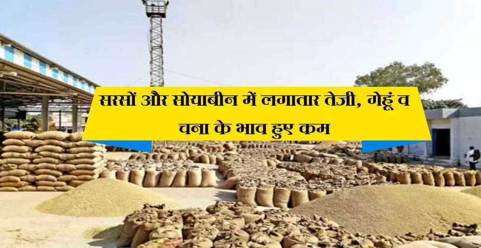 कोटा मंडी में कृषि जिंसों के भाव में उतार-चढ़ाव