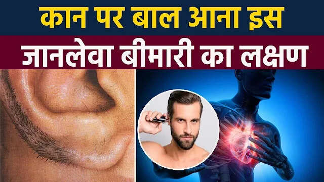कानों पर बाल: स्वास्थ्य के लिए गंभीर संकेत
