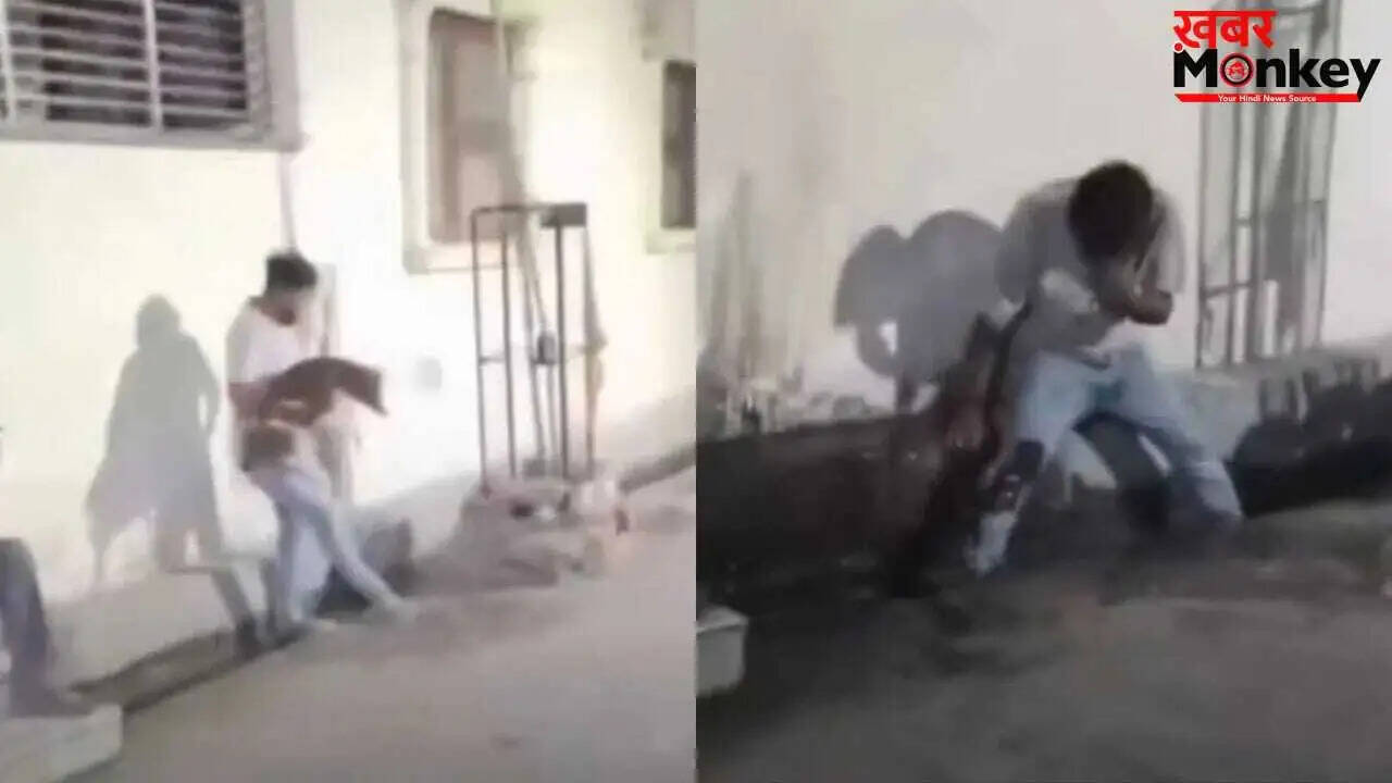 सोशल मीडिया पर वायरल हुआ कुत्ते के साथ मजेदार शरारत का वीडियो