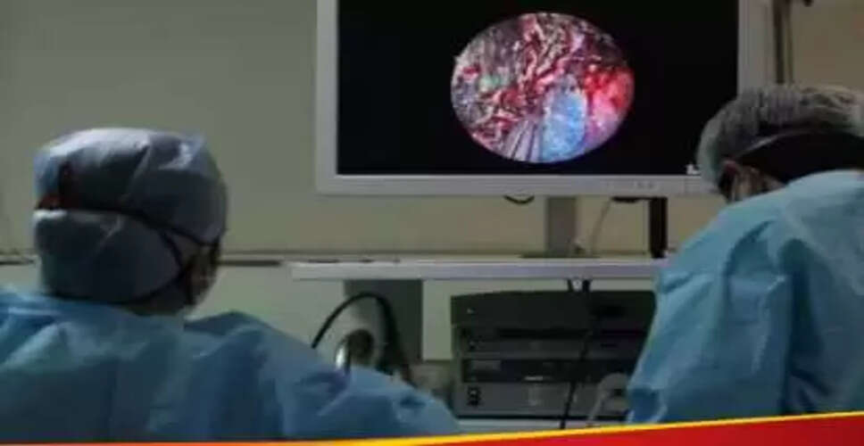2025 में संभावित संक्रामक रोग: बर्ड फ्लू की बढ़ती चिंता