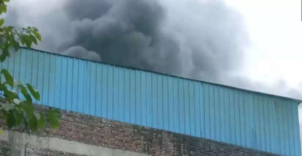 दिल्ली में रिठाला मेट्रो स्टेशन के पास पॉलीथीन फैक्ट्री में भीषण आग, 3 की मौत
