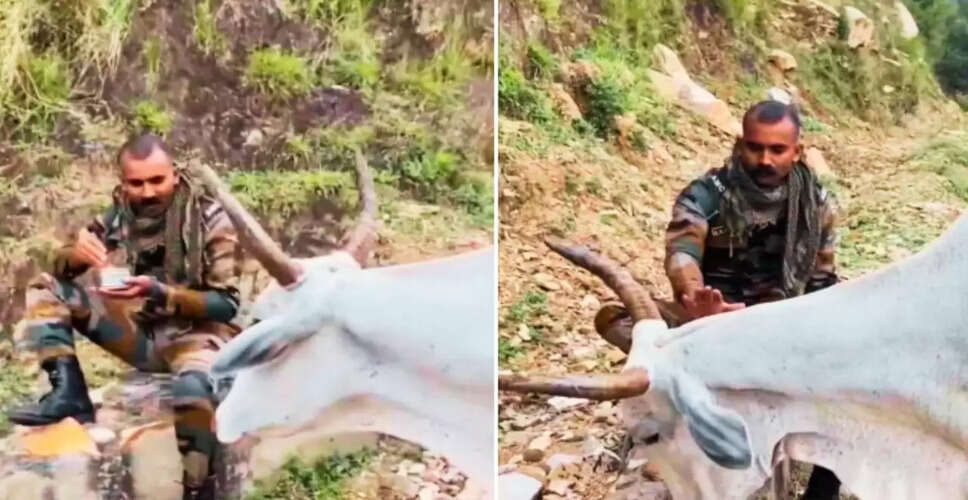 भारतीय जवान का मानवीय चेहरा: भूखी गाय को खिलाया खाना