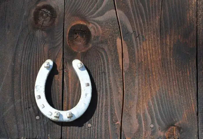 शनिदेव को प्रसन्न करने के प्रभावी उपाय