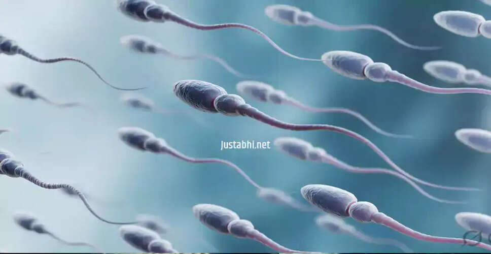 सीमन: एक जटिल जैविक द्रव और इसके मिथक