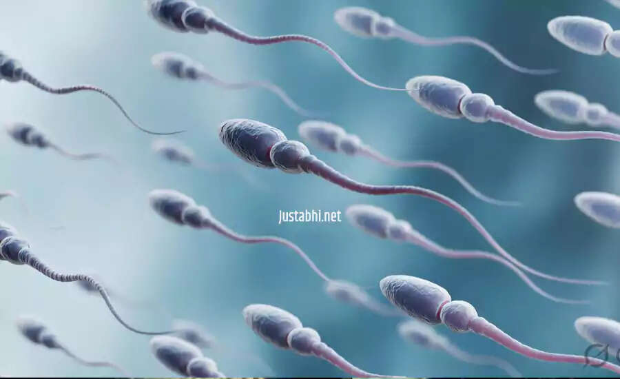 सीमन: एक जटिल जैविक द्रव और इसके मिथक