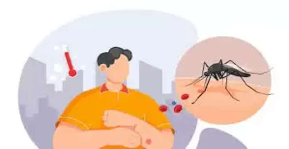 जयपुर में मौसमी बीमारियों से बचाव के लिए स्वास्थ्य विभाग का सर्वेक्षण अभियान