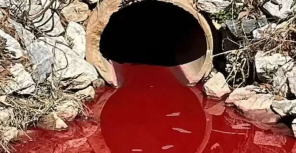 दक्षिण कैरोलिना में नाले से बहा खून जैसा रंगीन पानी, जांच में हुआ चौंकाने वाला खुलासा