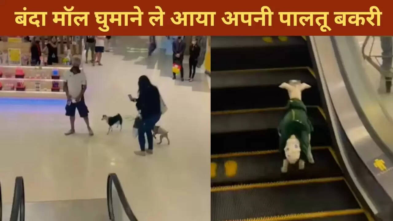 बकरी को डायपर पहनाकर मॉल में ले जाने वाला शख्स, देखें मजेदार वीडियो