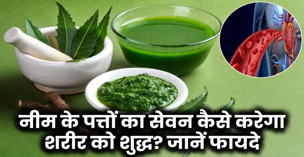 नीम: स्वास्थ्य और सौंदर्य के लिए एक चमत्कारी औषधि
