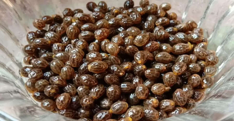 पपीते के बीज: स्वास्थ्य के लिए अद्भुत लाभ