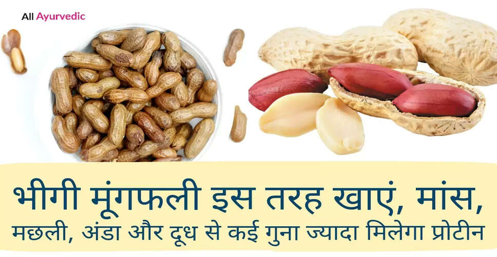 भीगी मूंगफली के स्वास्थ्य लाभ: जानें रोजाना सेवन के फायदे