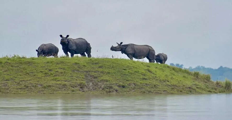 काजीरंगा नेशनल पार्क में बाढ़ की तैयारियों को बढ़ाया गया