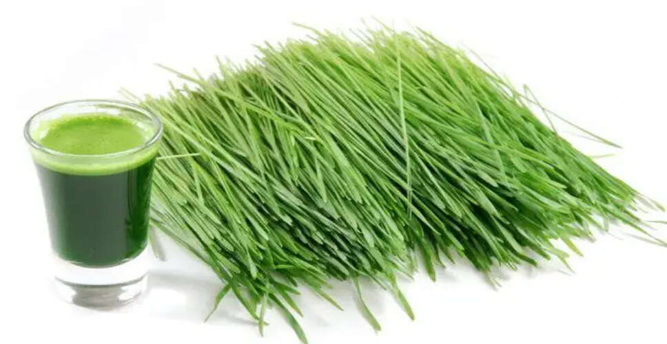 गेहूँ के ज्वारे: स्वास्थ्य के लिए चमत्कारी लाभ