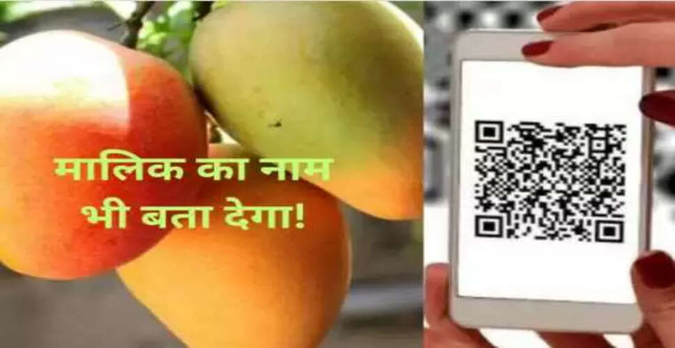 QR कोड से जानें मलीहाबादी आम की प्रजाति और मालिकाना हक