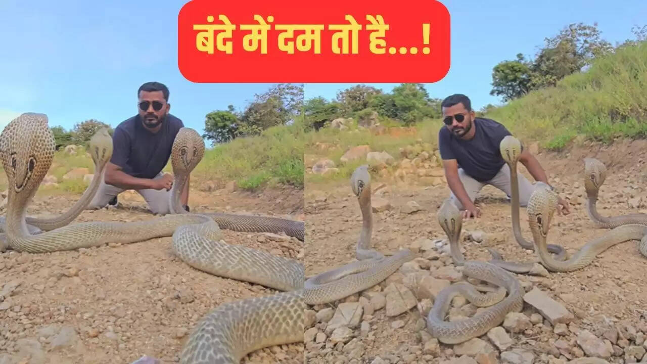 सांपों के साथ खड़े व्यक्ति का हैरतअंगेज वीडियो हुआ वायरल