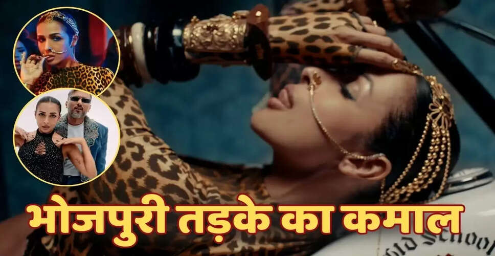 हनी सिंह का नया गाना 'चिलगम' वायरल, मलाइका अरोड़ा पर मिली मिली-जुली प्रतिक्रियाएं