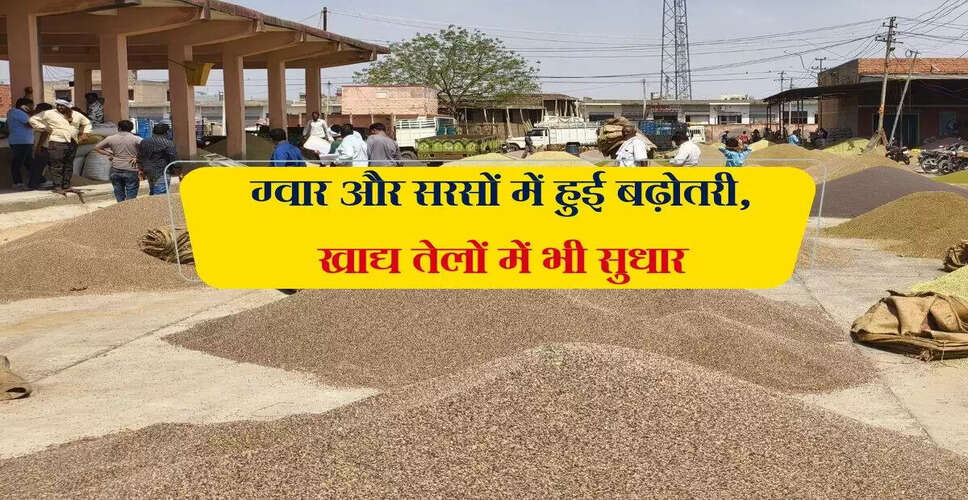 जयपुर मंडी में सरसों के भाव में वृद्धि, जानें अन्य कृषि जिंसों के दाम
