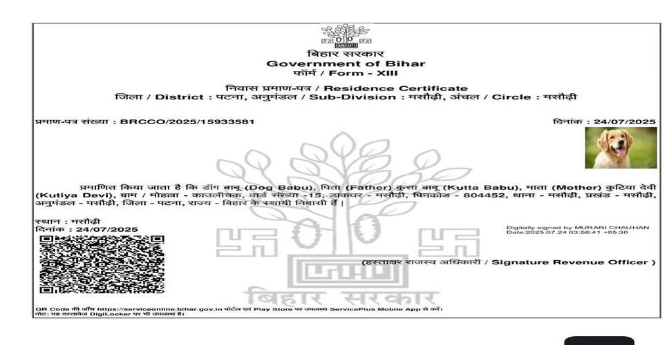बिहार में कुत्ते को आवास प्रमाण पत्र जारी करने का विवाद