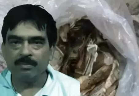बिहार में सरकारी इंजीनियर की संपत्ति का खुलासा, करोड़ों की संपत्ति मिली