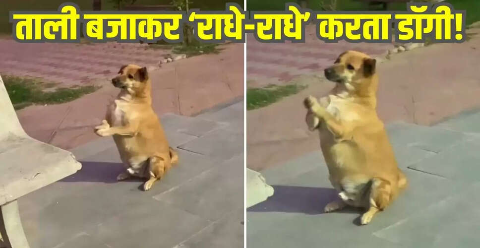डॉगी का 'राधे-राधे' पर ताली बजाने वाला वीडियो हुआ वायरल