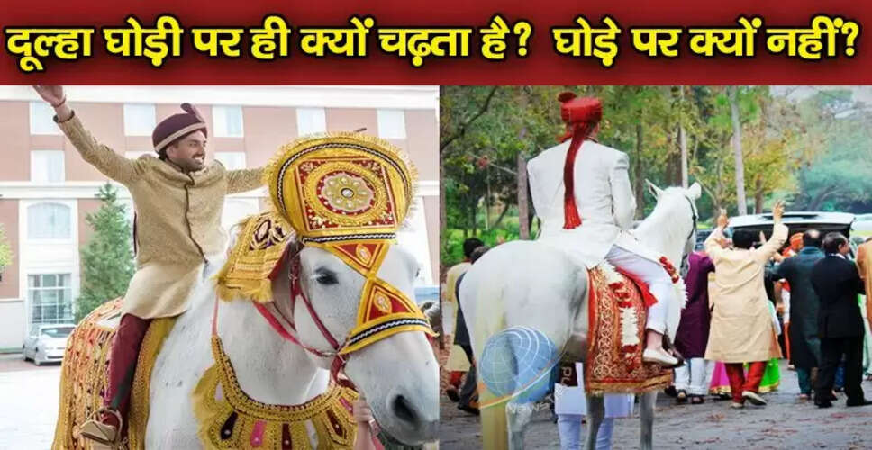 दूल्हे की घोड़ी चढ़ने की परंपरा: महत्व और कारण