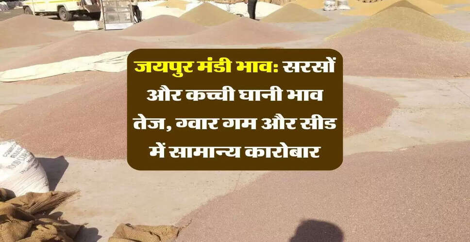 जयपुर मंडी में फसलों के भाव में उतार-चढ़ाव, सरसों में तेजी
