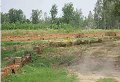 बिहार में भूमि विवाद के चलते चाचा-भतीजे की हत्या