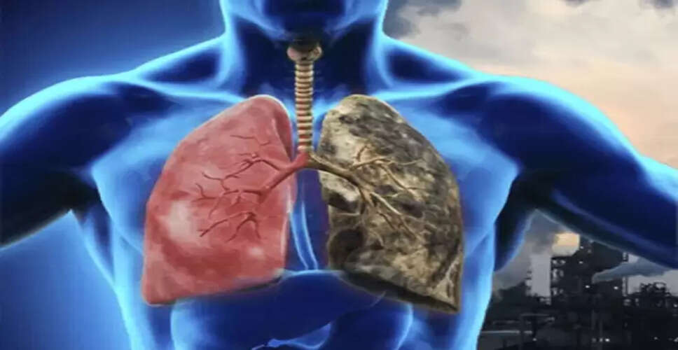 फेफड़ों की स्वास्थ्य समस्याओं के संकेत: जानें क्या करें