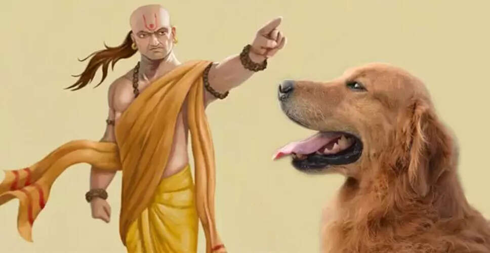 आचार्य चाणक्य से सीखें: कुत्ते की चार महत्वपूर्ण शिक्षाएँ