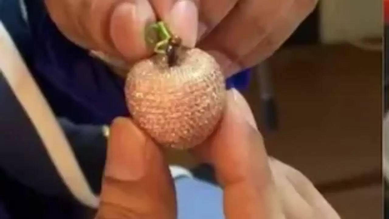 दुनिया का सबसे महंगा सेब: 10 करोड़ का गोल्डन एप्पल