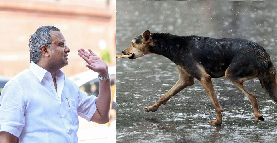 कोयंबटूर में आवारा कुत्तों के हमले से फैली चिंता, सरकार से कार्रवाई की मांग