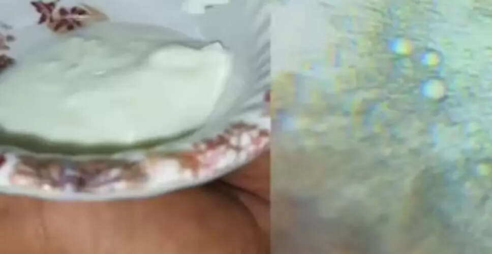 दही के बैक्टेरिया: माइक्रोस्कोप के अंदर की अद्भुत दुनिया