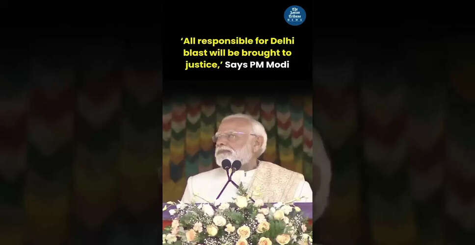 मनोरंजन की दुनिया में नई झलक