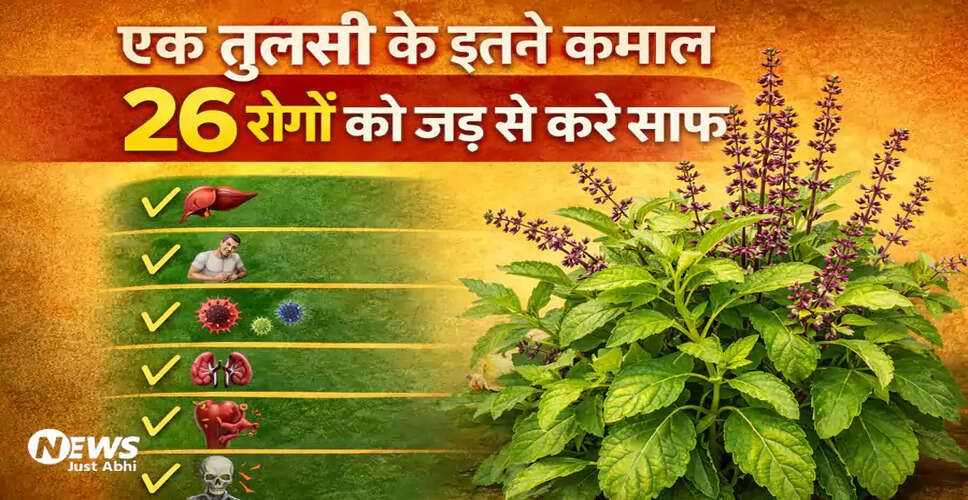 तुलसी के अद्भुत स्वास्थ्य लाभ: 26 उपयोगी उपाय