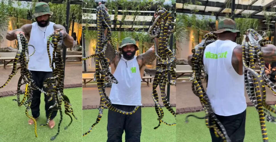 डरावना वीडियो: सांपों के साथ खेलता शख्स, लोगों में मची खलबली