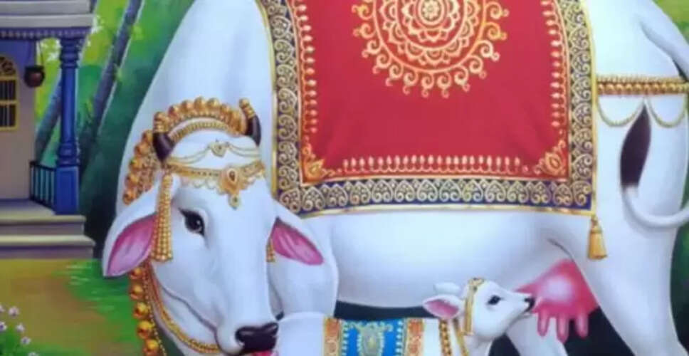 गाय के दर्शन का महत्व: शुभ संकेत और धार्मिक मान्यताएँ