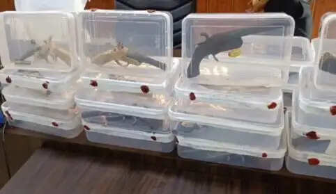 मुजफ्फरनगर में अवैध तमंचा फैक्ट्री का भंडाफोड़, आरोपी गिरफ्तार