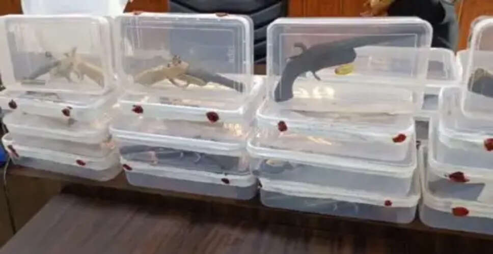 मुजफ्फरनगर में अवैध तमंचा फैक्ट्री का भंडाफोड़, आरोपी गिरफ्तार