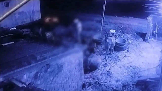 भैंस के साथ दुष्कर्म की घटना से क्षेत्र में हड़कंप