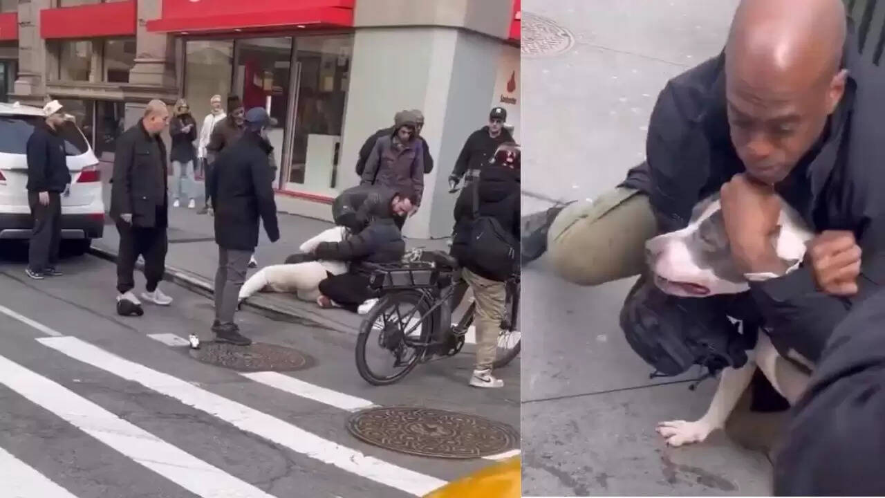 पिटबुल के हमले से बच्चे की जान बचाने का हैरान कर देने वाला वीडियो