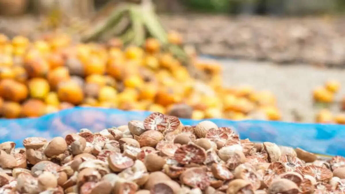 सुपारी के उपाय: धन और सौभाग्य के लिए प्रभावी विधियाँ