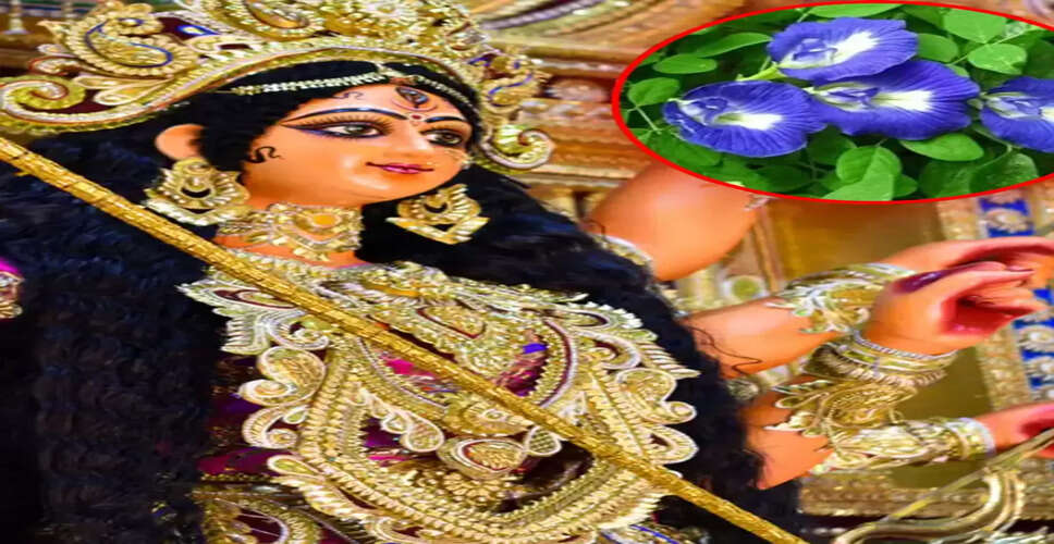 नवरात्रि पर अपराजिता फूल का महत्व और पूजा विधि